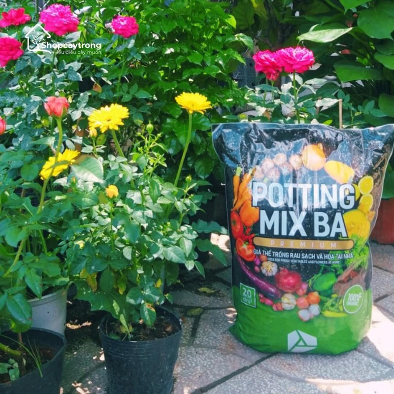 Đất cao cấp Potting Mix 20dm3, 6.5kg, trồng rau củ, hoa kiểng, cây kiểng trong nhà