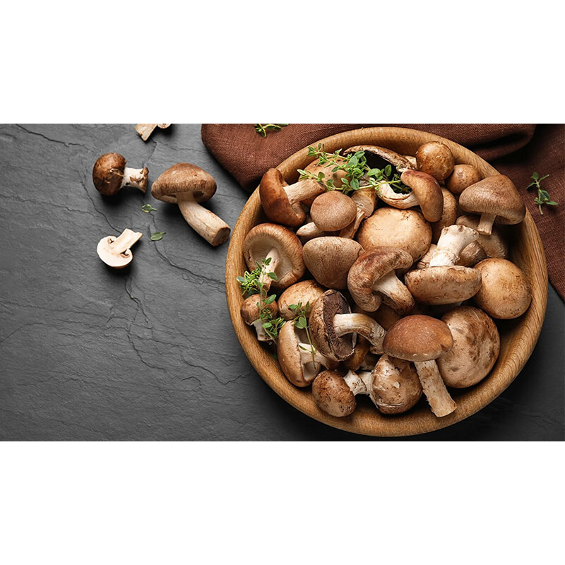 CHAI 500ml NƯỚC TƯƠNG NẤM ĐÔNG CÔ HIỆU CON CÔNG