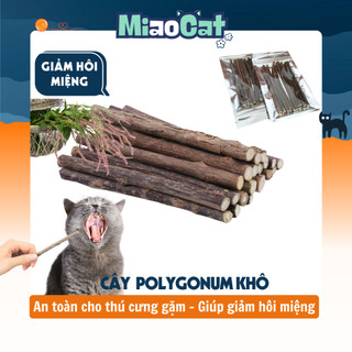 Gỗ Nhai Polygonum Tự Nhiên Cho Mèo AP610