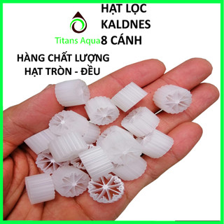 1 KG HẠT NHỰA LỌC KALDNES 8 CÁNH - MBBR - VẬT LIỆU LỌC HỒ CÁ