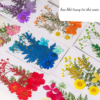 Hoa khô mix tổng hợp trang trí resin, handmade