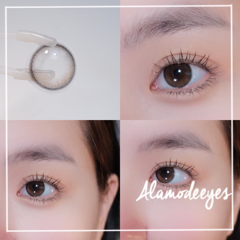 Lens nâu trân châu