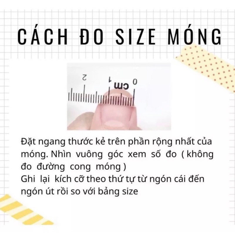 🌷Nailbox thiết kế cute  🌷