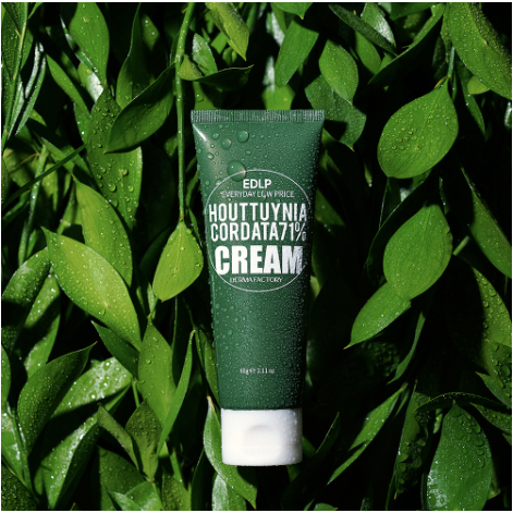 Derma Factory EDLP Houttuynia Cordata 71% Cream