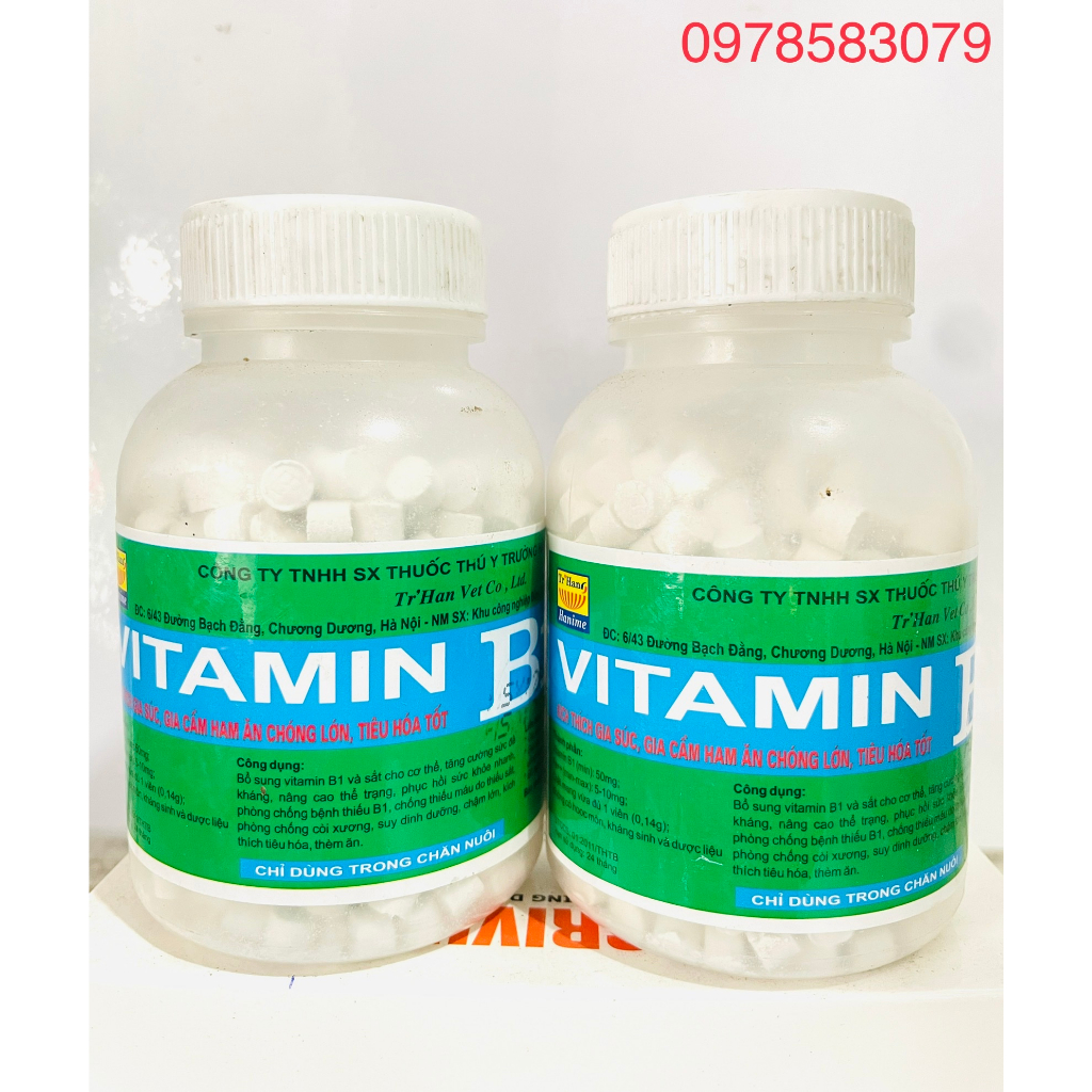 Trường Hằng Vita.min B1 Kích thich vật nuôi ham ăn, chóng lớn, tieu hoá tốt