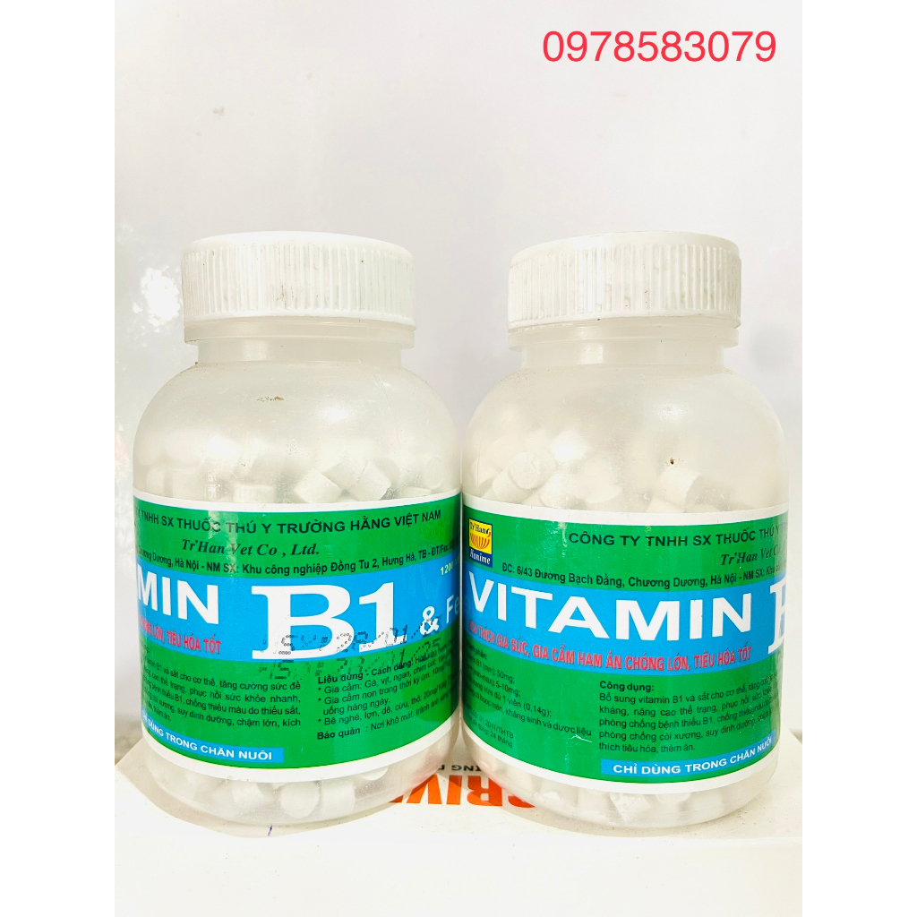 Trường Hằng Vita.min B1 Kích thich vật nuôi ham ăn, chóng lớn, tieu hoá tốt