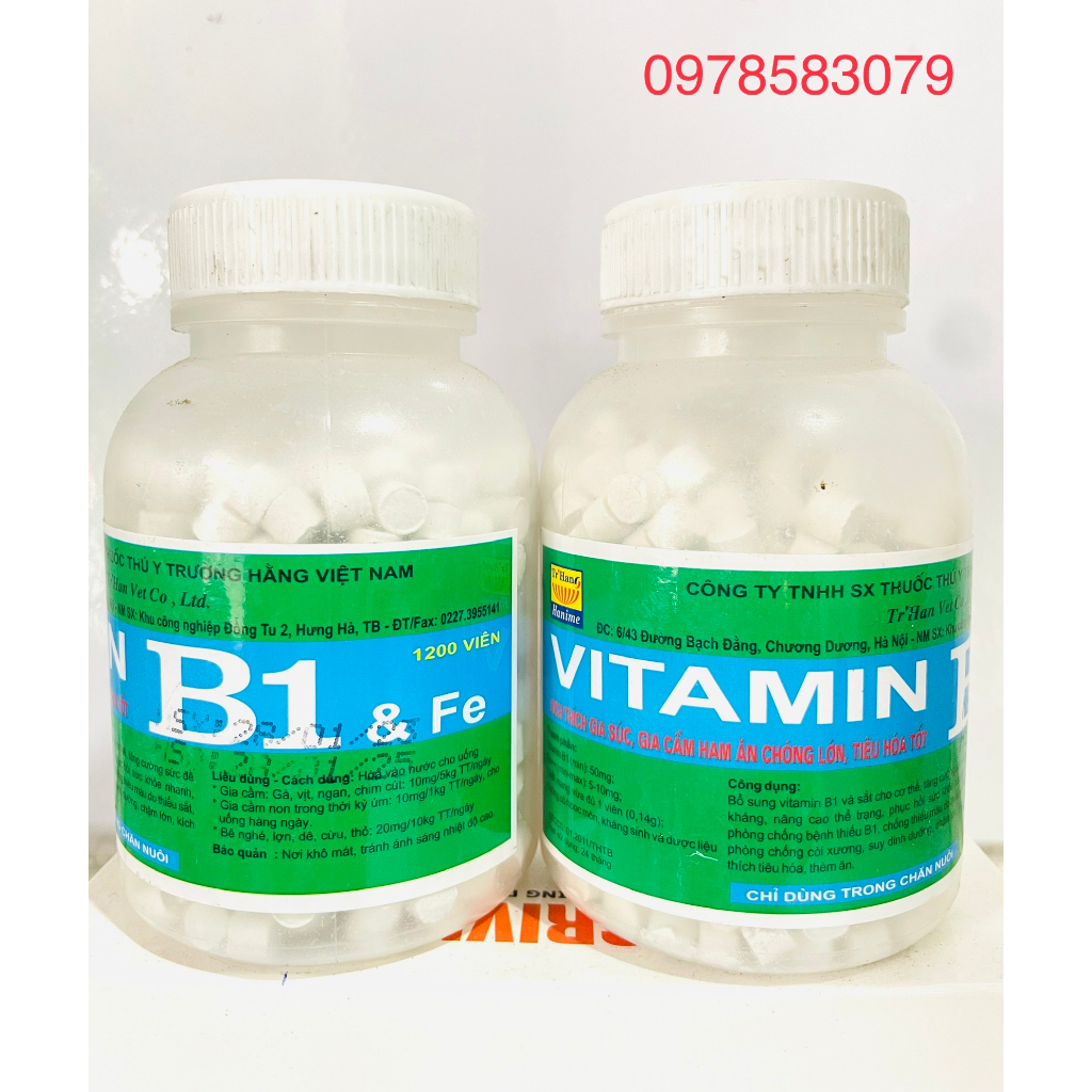 Trường Hằng Vita.min B1 Kích thich vật nuôi ham ăn, chóng lớn, tieu hoá tốt