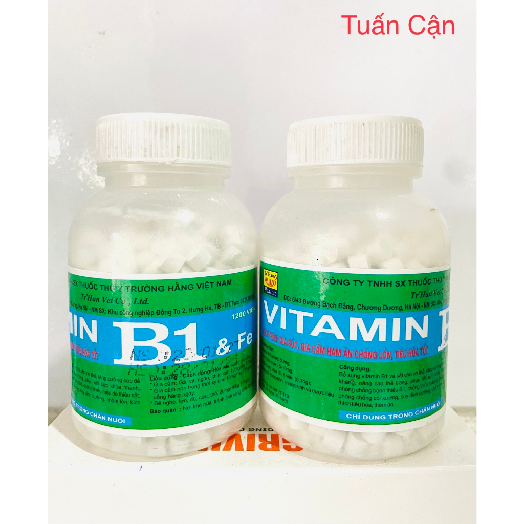 Trường Hằng Vita.min B1 Kích thich vật nuôi ham ăn, chóng lớn, tieu hoá tốt