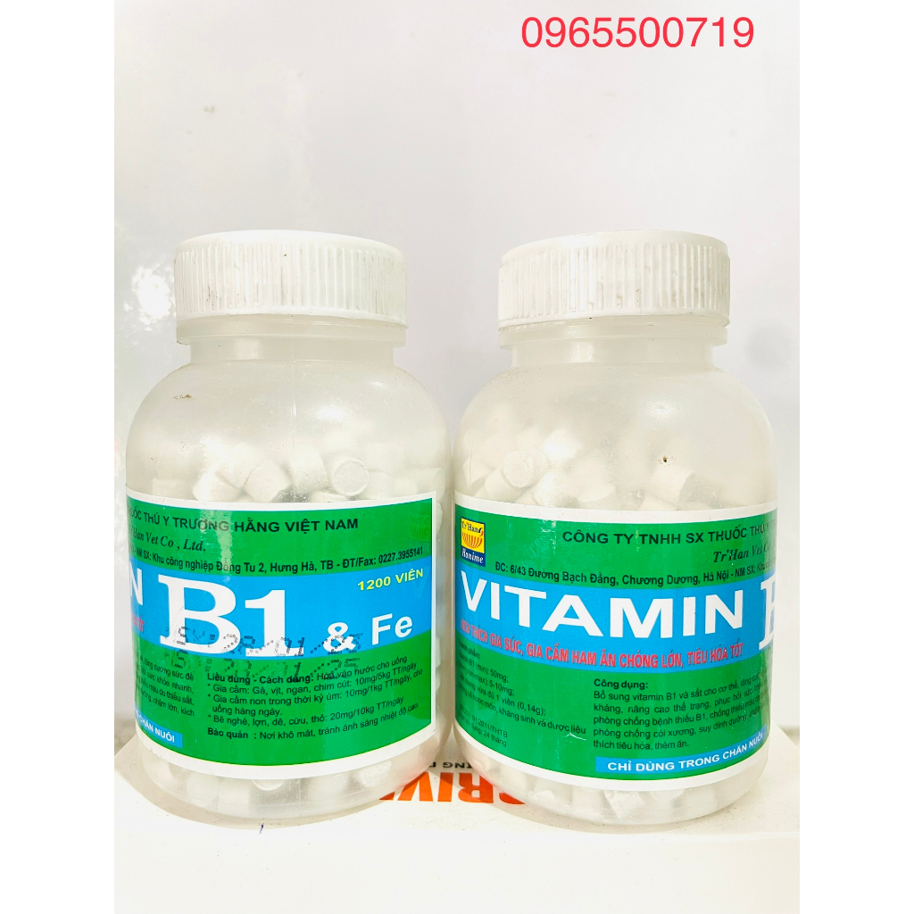 Trường Hằng Vita.min B1 Kích thich vật nuôi ham ăn, chóng lớn, tieu hoá tốt