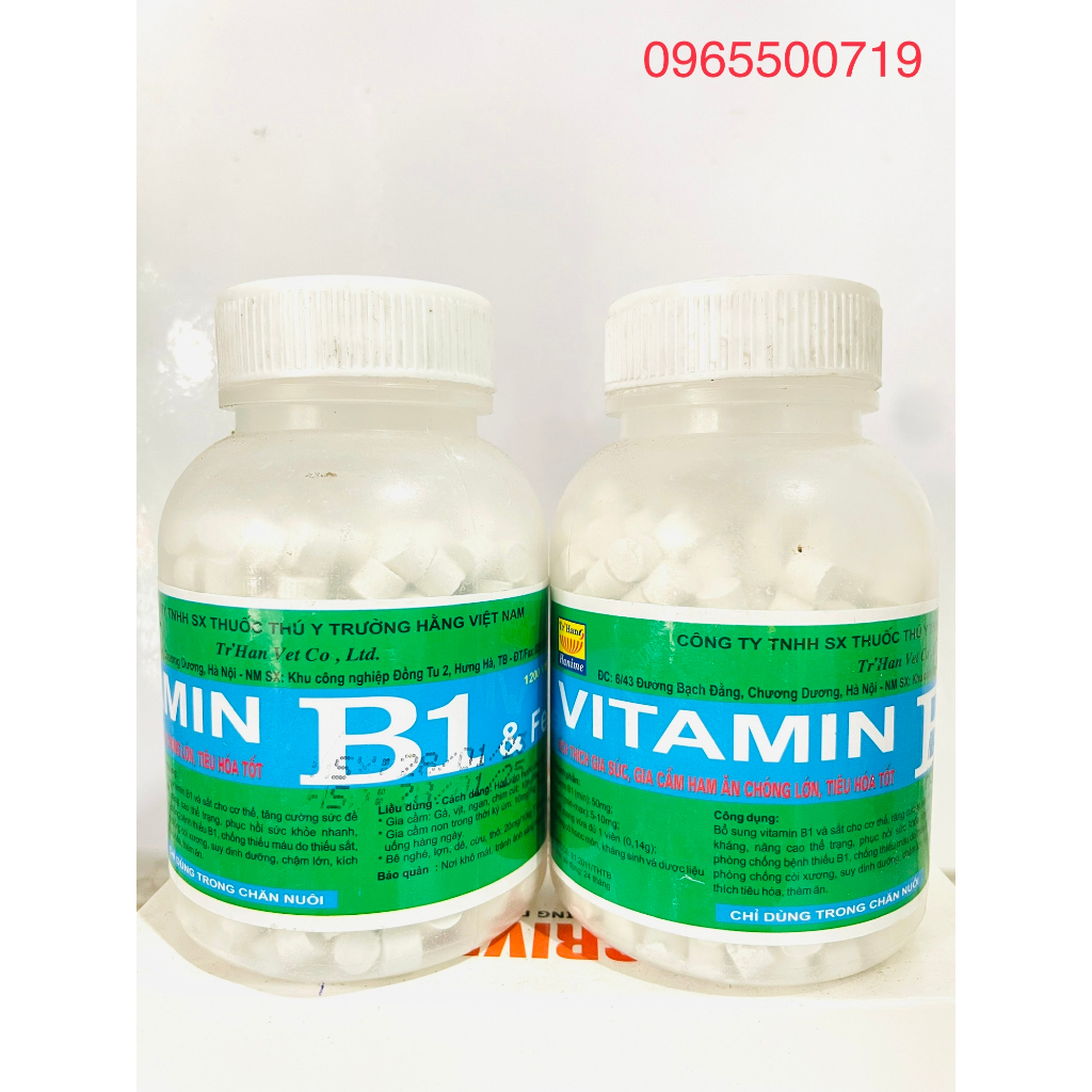 Trường Hằng Vita.min B1 Kích thich vật nuôi ham ăn, chóng lớn, tieu hoá tốt