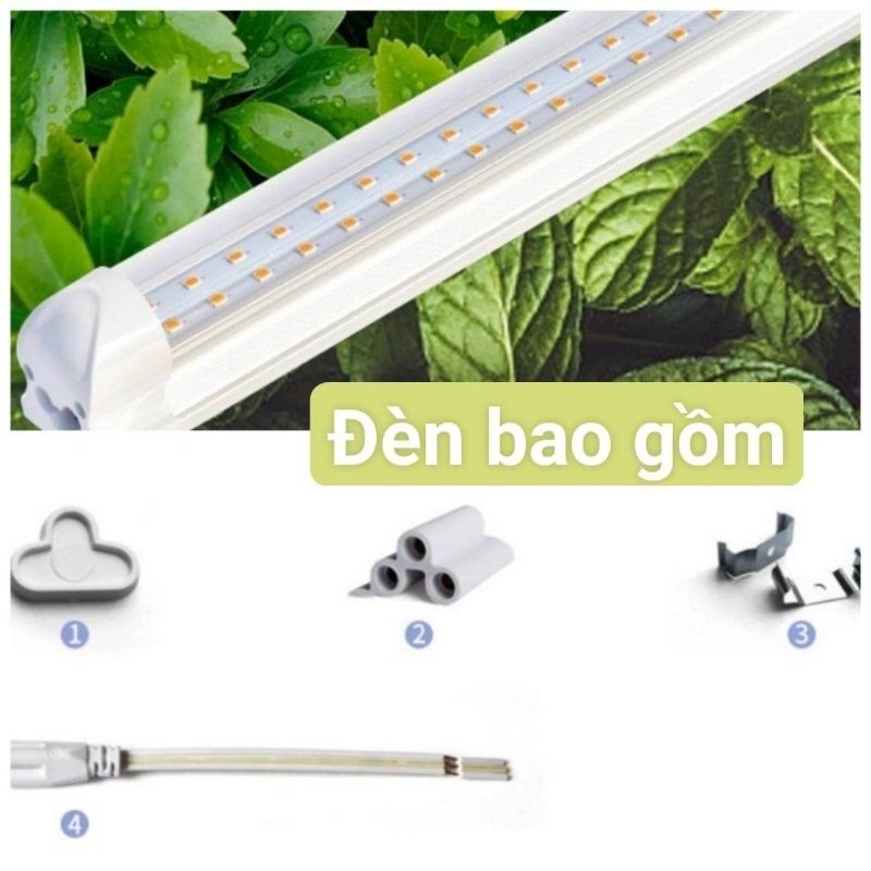 Lc Growlights -Bóng 30cm Đèn trồng sen đá và xương rồng giúp cây lên màu đẹp