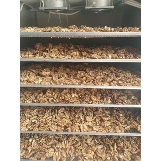 Nhân Óc chó Hartley Mỹ 500g