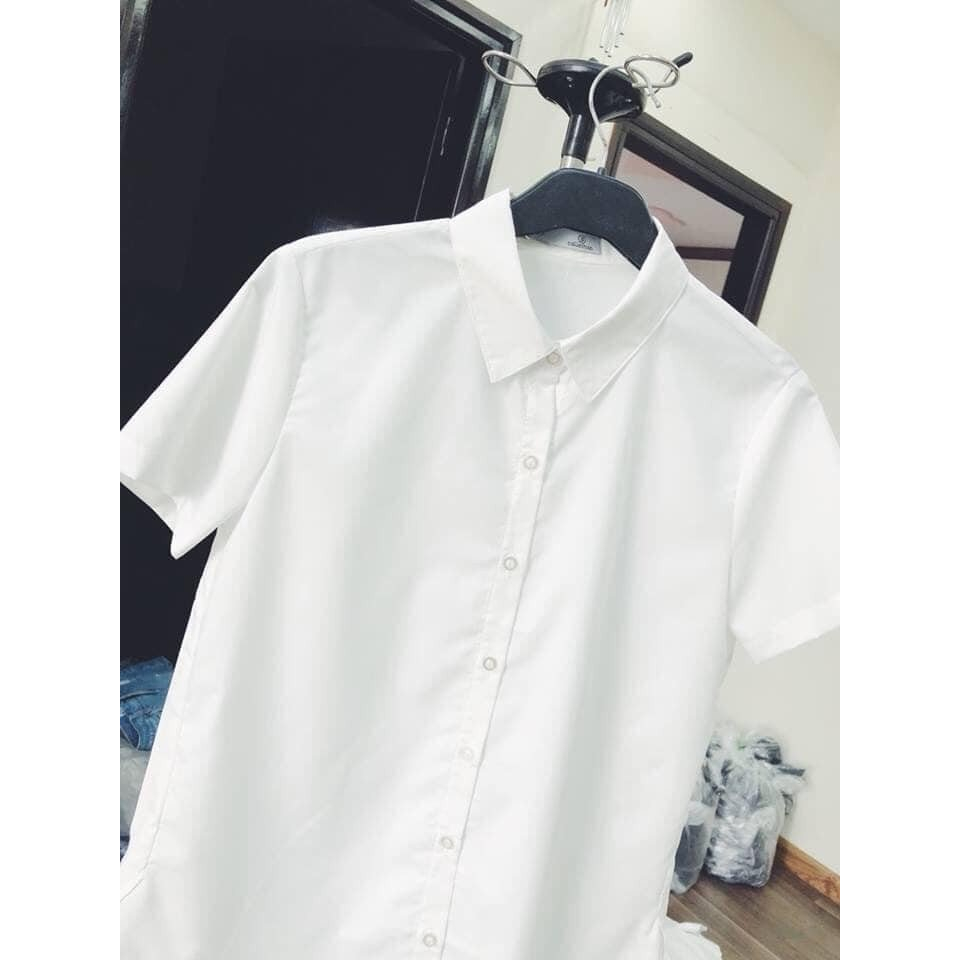 Áo sơ mi cộc tay uni mùa đi học Hari GenZ Somicoctayuni P7K2