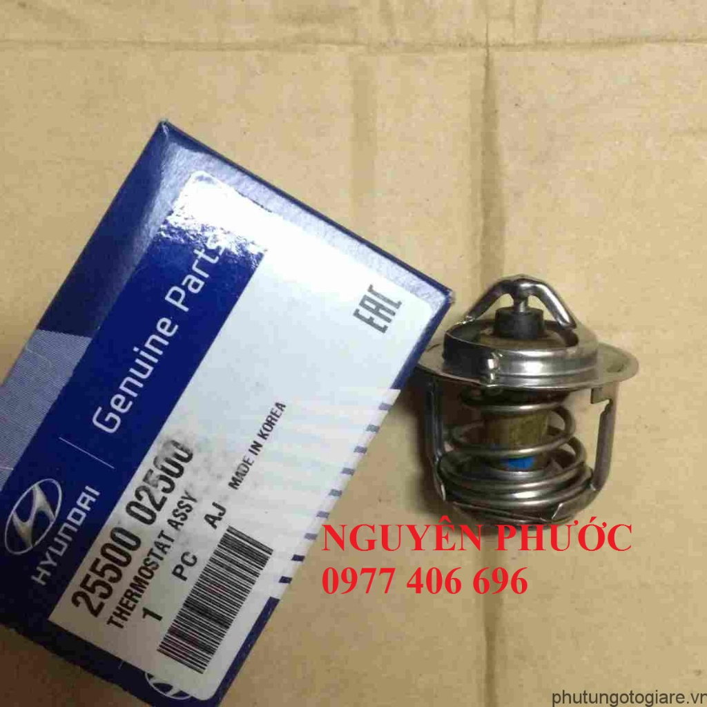 Van hằng nhiệt MORNING 2005 - 2010, GETZ 1.1, EON, I10 2008 - 2010 - Hàng chính hãng: 2550002500