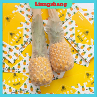 Quần tất quả dứa siêu dai 🍁freeship🍁quần tất tàng hình hàn quốc