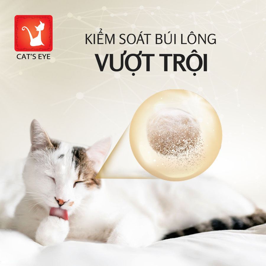 Hạt thức ăn cho mèo Cat’s Eye nhập khẩu Hàn Quốc