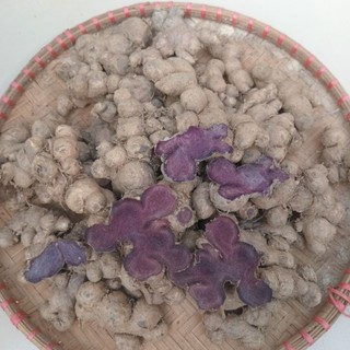 Củ Ngải Đen tươi 1kg (Hàng thượng hạng)