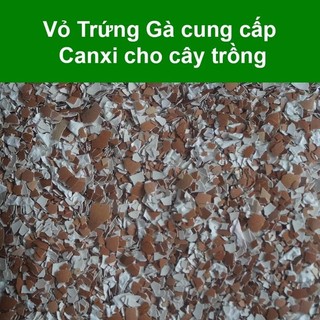 Vỏ trứng gà trồng cây 1kg
