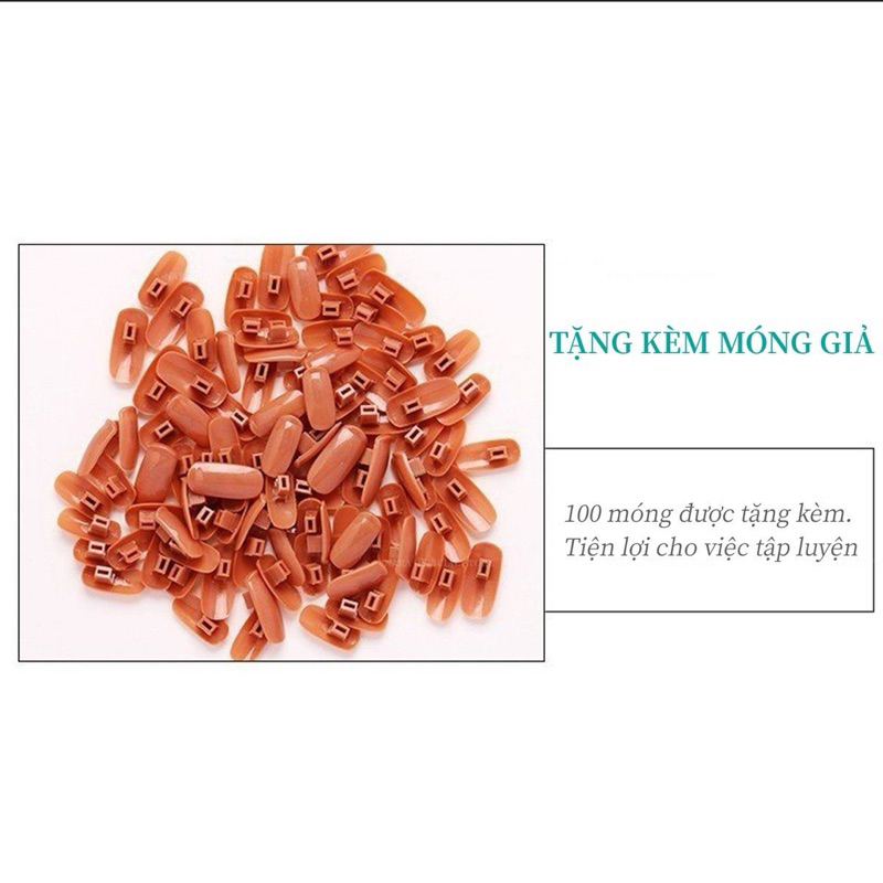 Bàn Tay Mô Hình Học Nail - Ngón Tay Mô Hình - Bàn Tay Khớp Kẹp Để Bàn Tiện Lợi Chuyên Dụng Nail