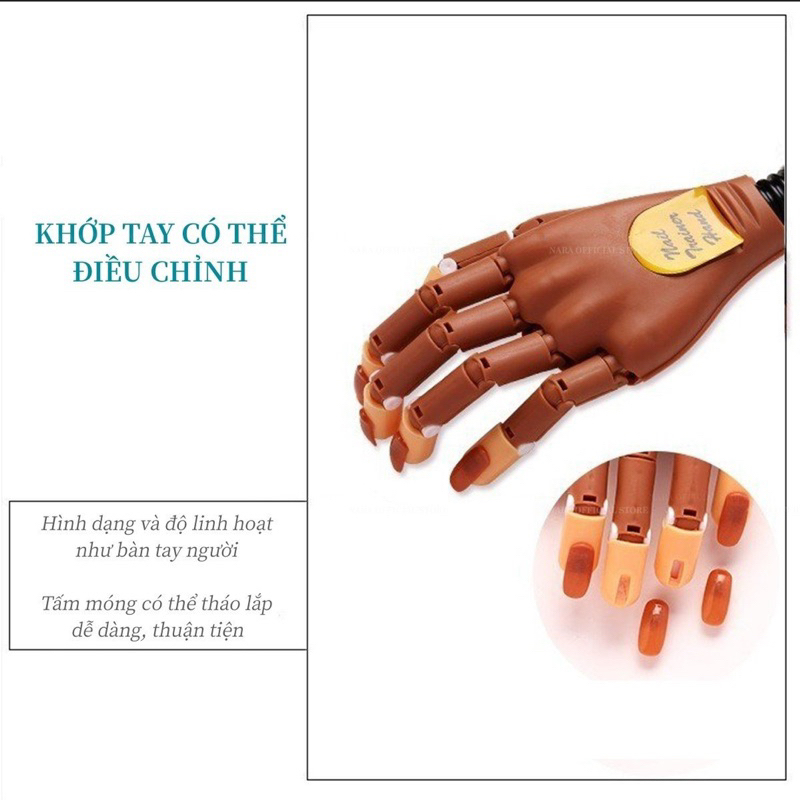 Bàn Tay Mô Hình Học Nail - Ngón Tay Mô Hình - Bàn Tay Khớp Kẹp Để Bàn Tiện Lợi Chuyên Dụng Nail