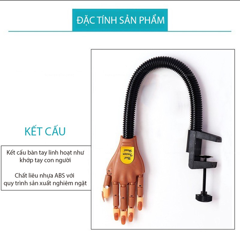 Bàn Tay Mô Hình Học Nail - Ngón Tay Mô Hình - Bàn Tay Khớp Kẹp Để Bàn Tiện Lợi Chuyên Dụng Nail