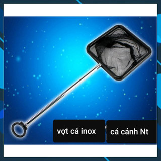 Vợt cá inox , cỡ nhỏ vợt betta