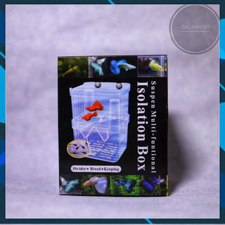 Hộp cá đẻ , Lồng đẻ guppy , lồng dưỡng cá