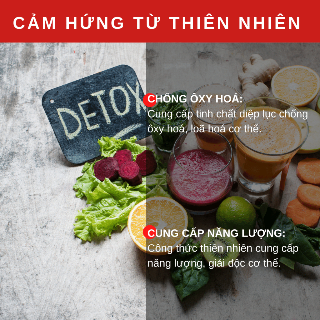 Nước Diệp Lục Swisse Chlorophyll 500ml - TD Shop