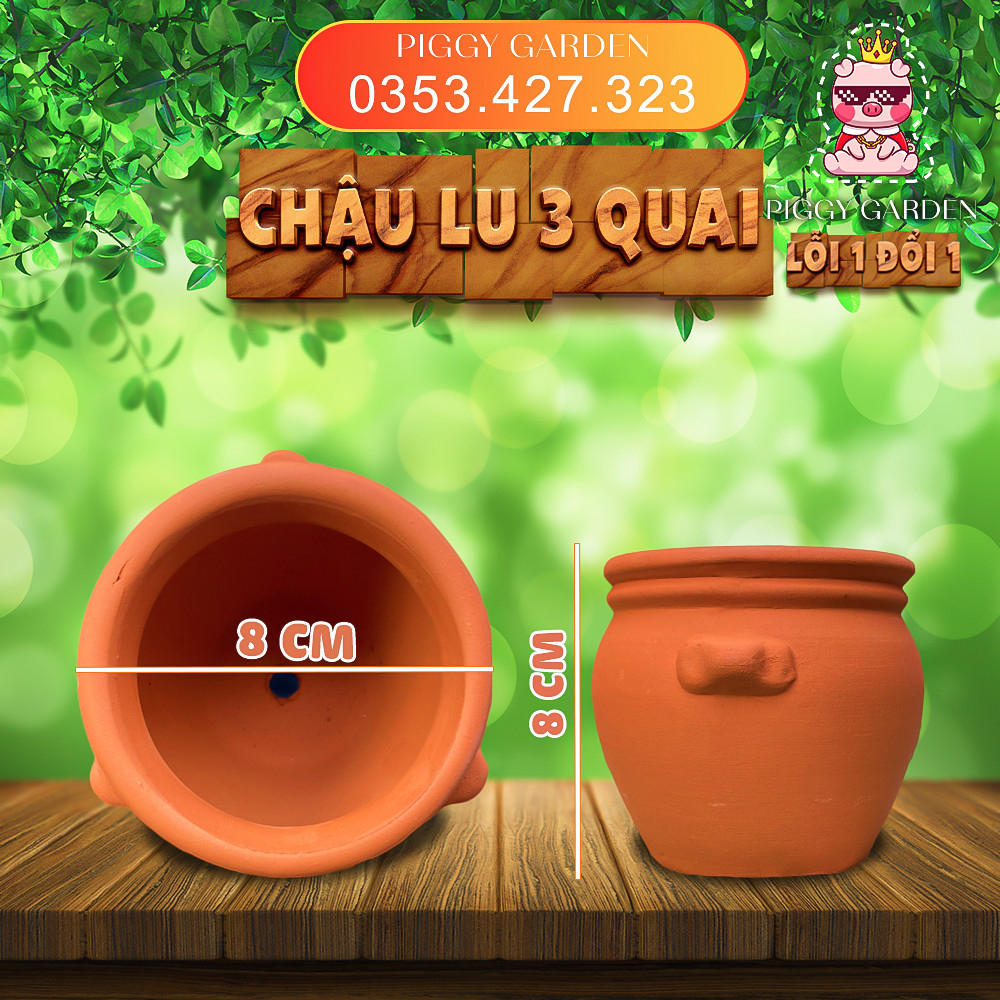 Chậu đất nung - Chậu trồng sen đá, xương rồng, cây để bàn -Chậu Lu 3 quai miệng 8cm, cao 8cm