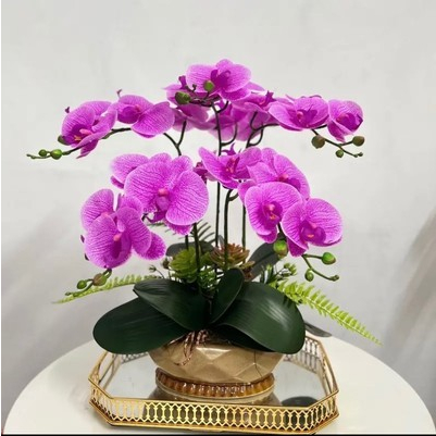 Bình hoa lan hồ điệp 5 cành sang trọng