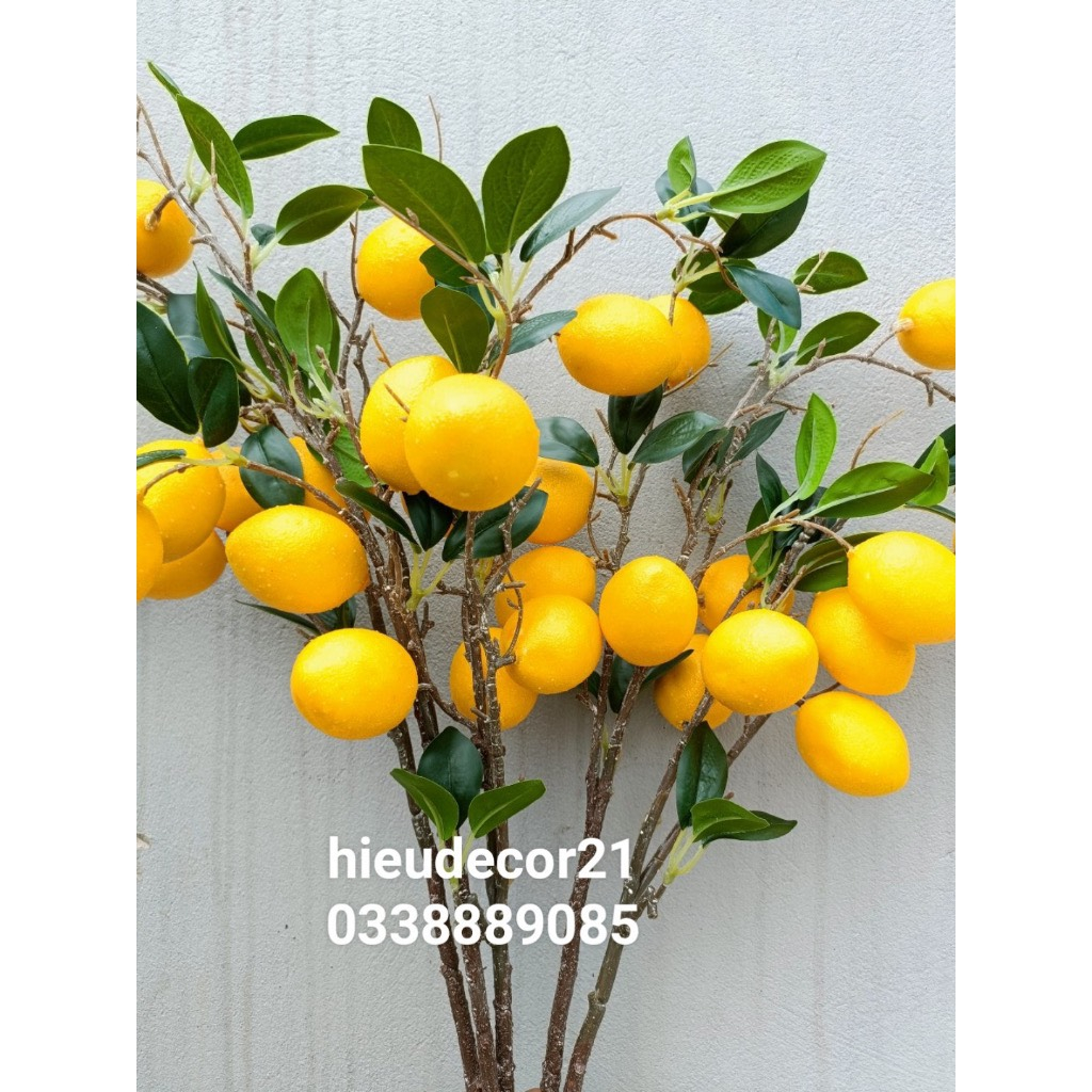 Cành quả chanh vàng trang trí decor nhà cửa - Cành 6 Quảv
