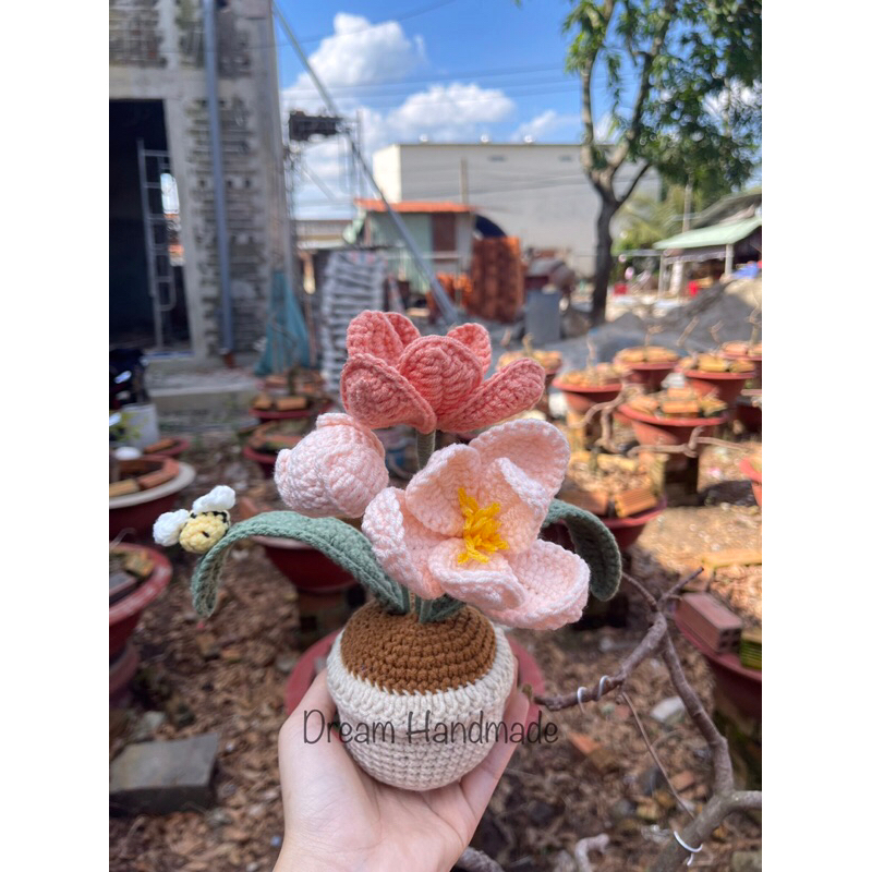 Chậu Hoa Tulip Dream Handmade