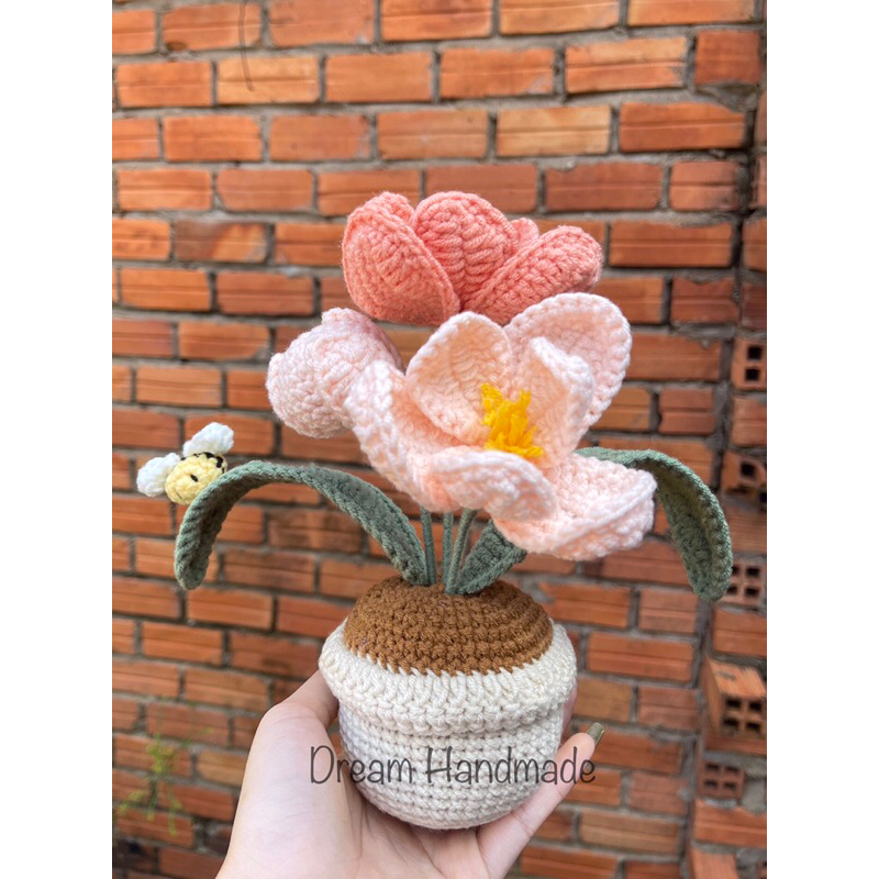 Chậu Hoa Tulip Dream Handmade