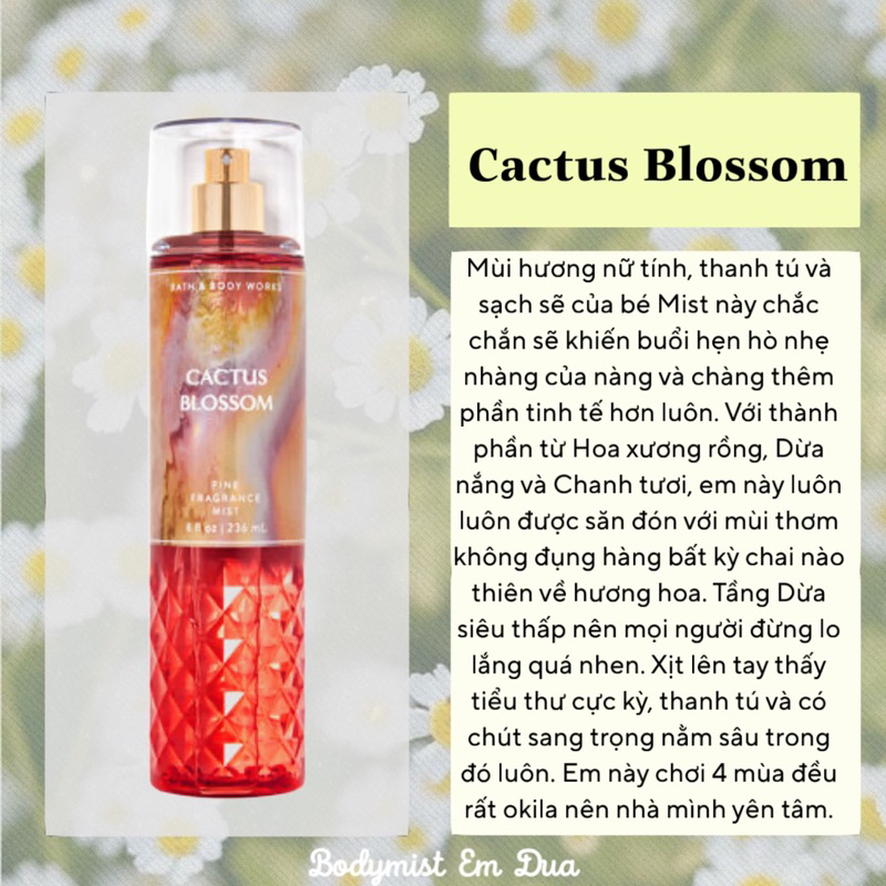 Xịt Thơm Toàn Thân - CACTUS BLOSSOM