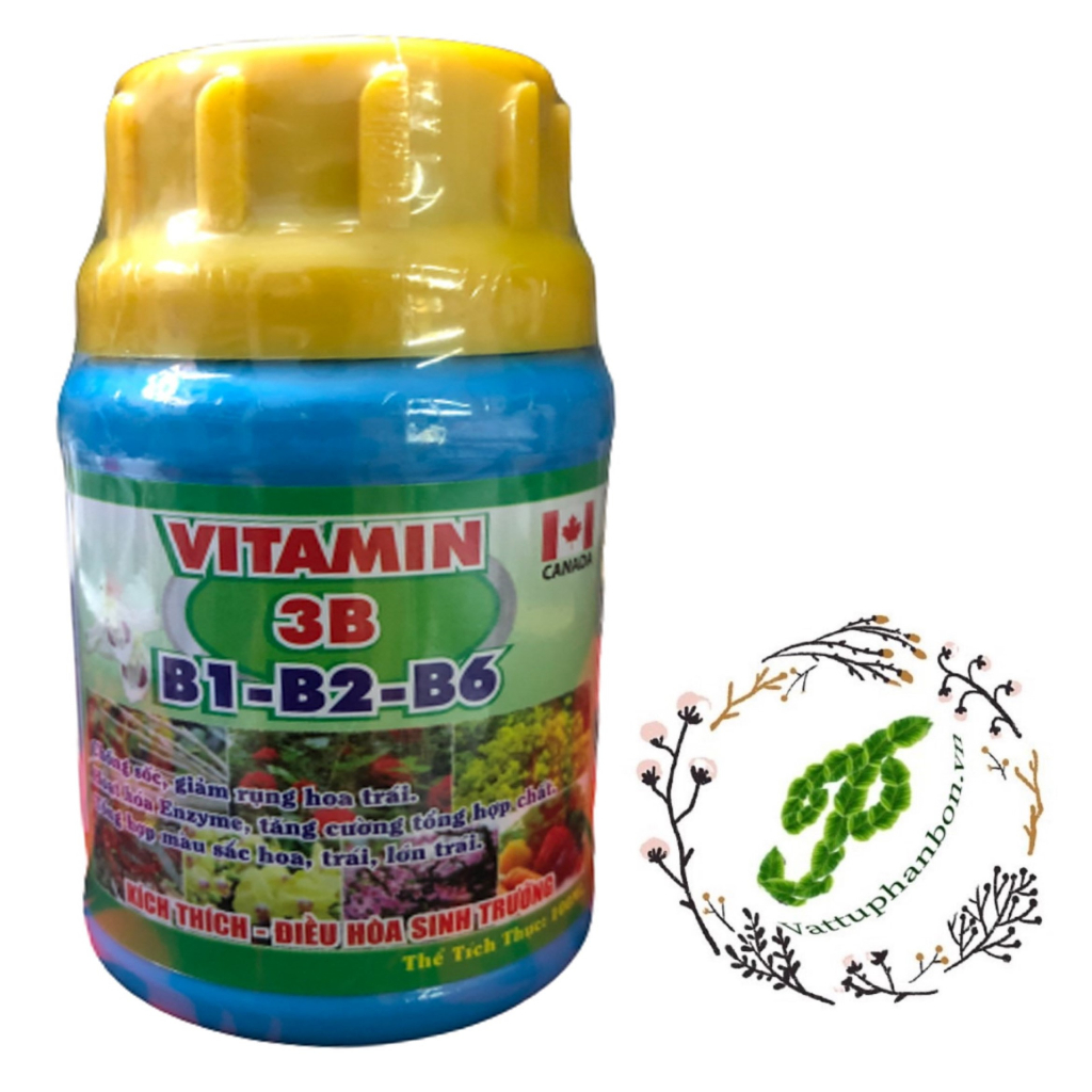 Phân Bón Vitamin 3B (B1-B2-B6) Canada 100ml - #009A# 100ml