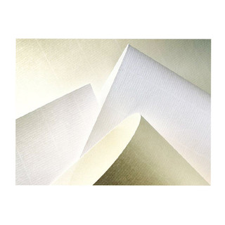 Giấy canson A4 MỎNG định lượng 120gsm (2 tờ)