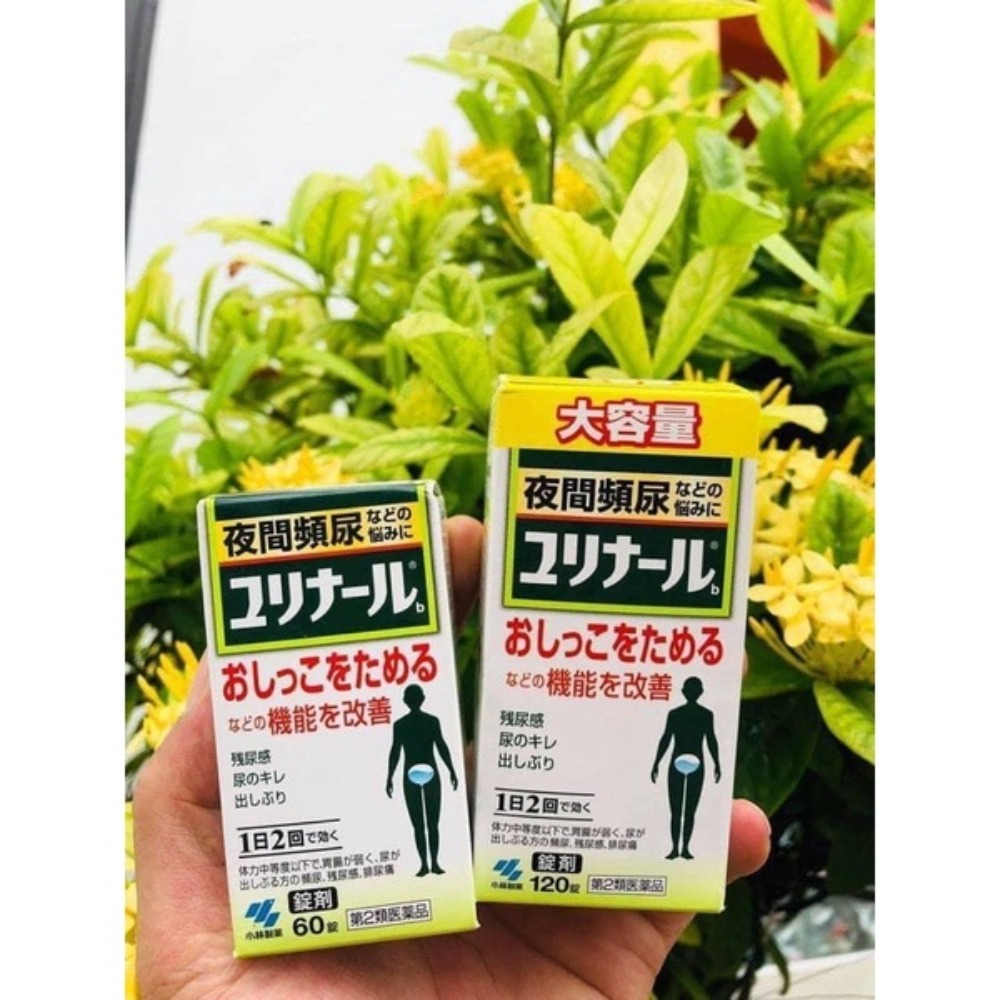 Viên uống giảm tiểu đêm, tiểu rắt Kobayashi 120 viên chính hãng Nhật Bản