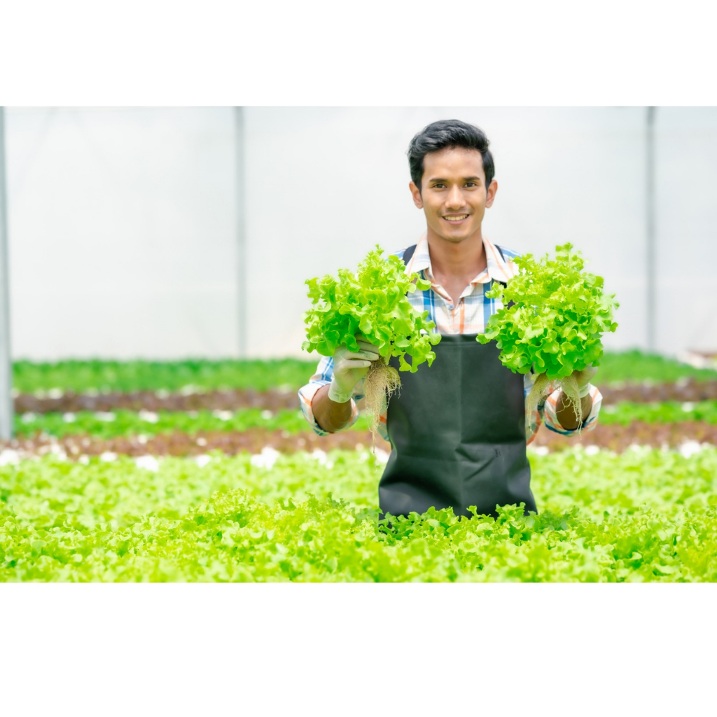 Rọ Nhựa Trồng Rau Thủy Canh 55x53mm -nhựa HDPE nguyên sinh siêu bền trên 5 năm