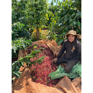 Cà phê Amarin Espresso pha phin - pha máy