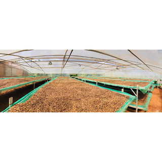 Cà phê Amarin Arabica - Cầu Đất