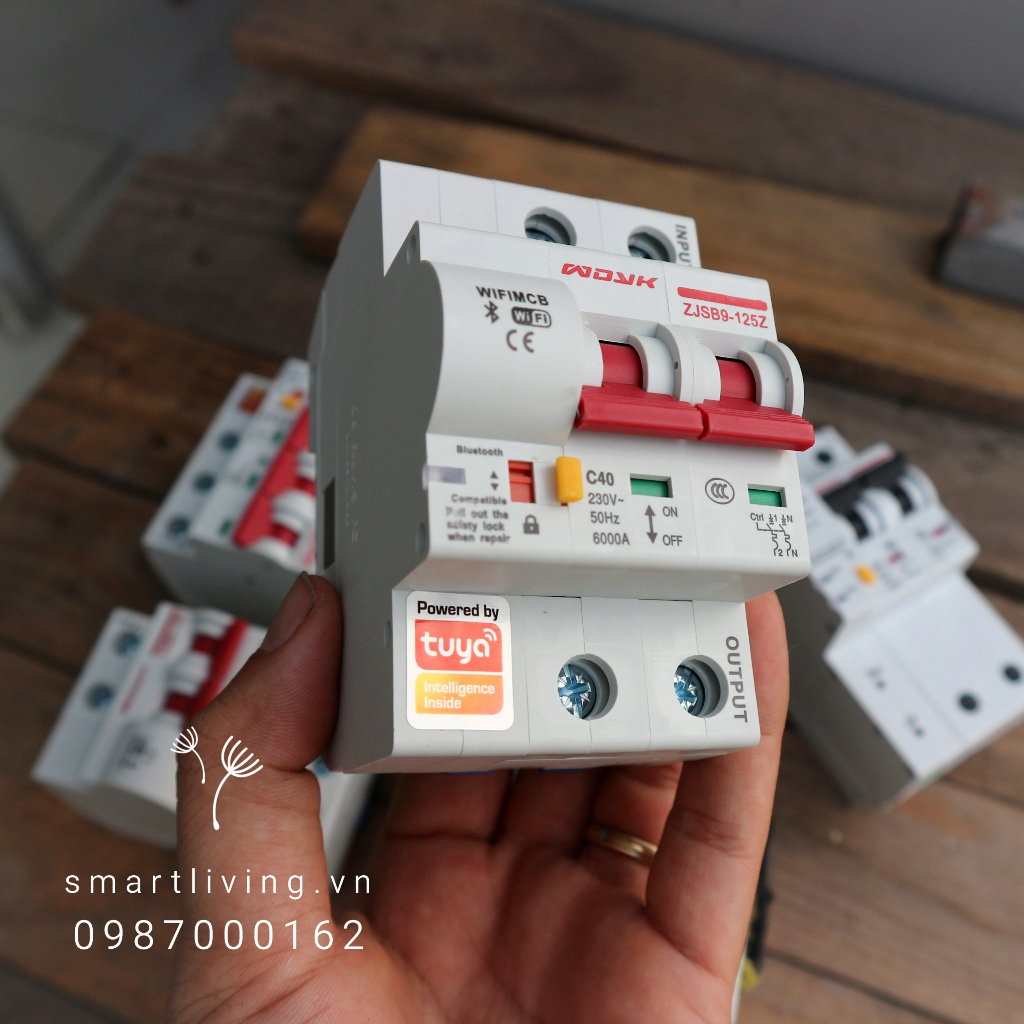 Aptomat CB thông minh Wifi Tuya 2P