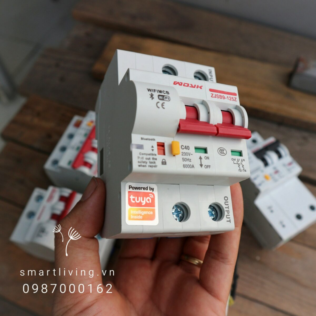 Aptomat CB thông minh Wifi Tuya 2P