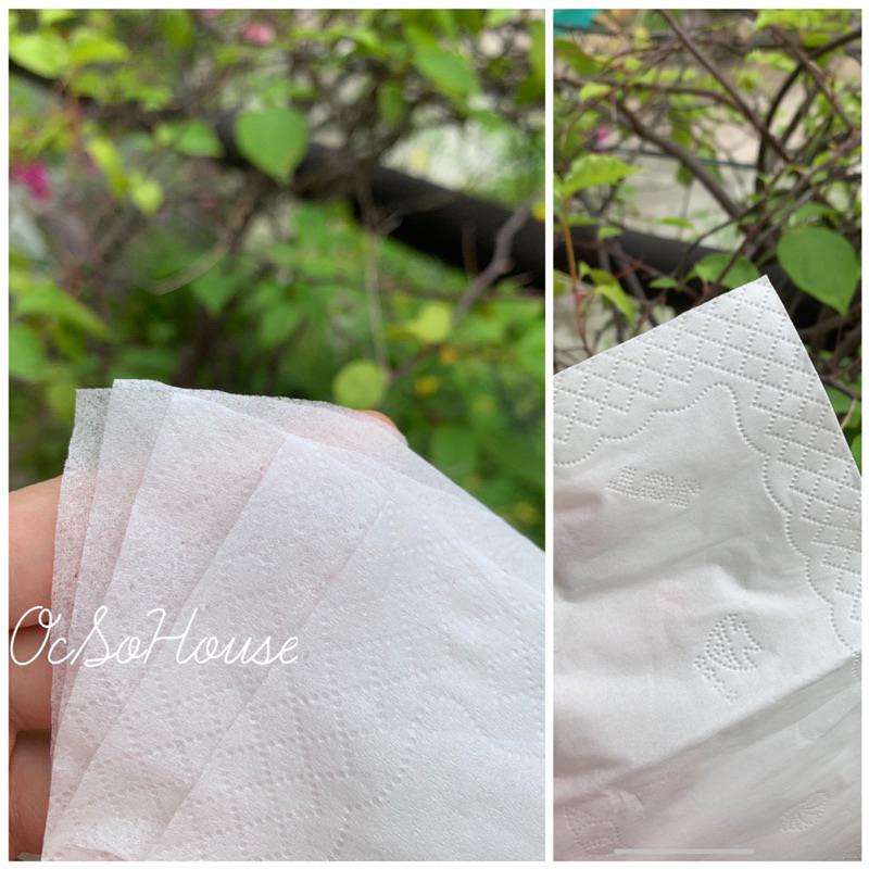 Giấy ăn CaiTong xanh cao cấp siêu Dai dày Nội địa Trung