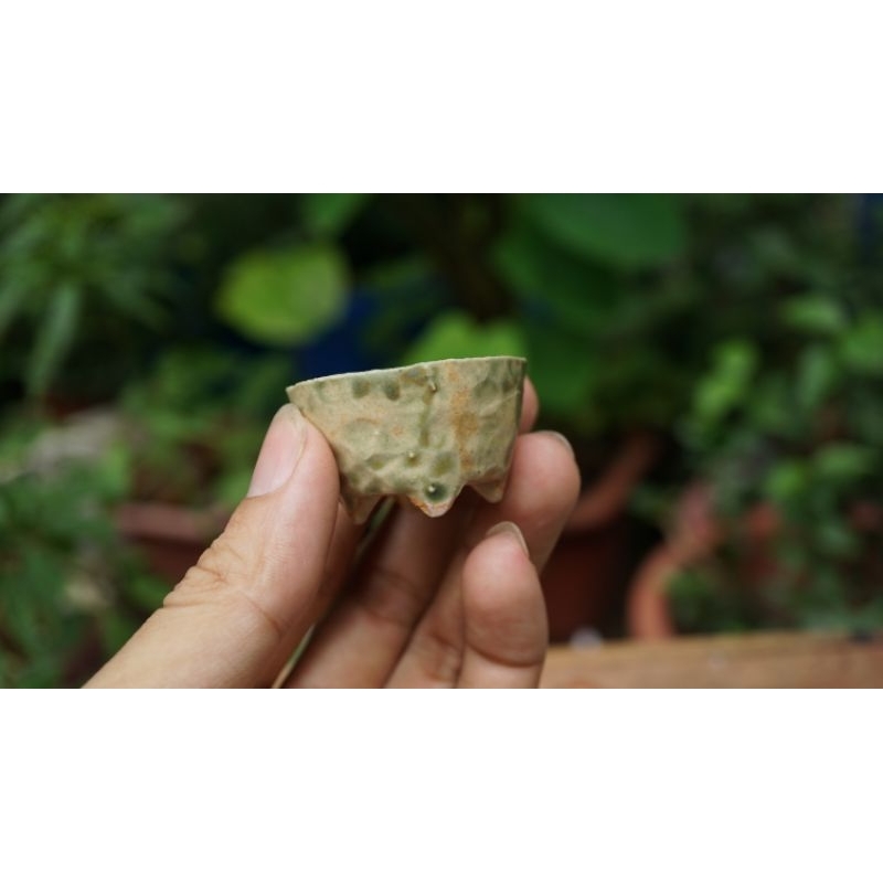 Chậu nhật sale