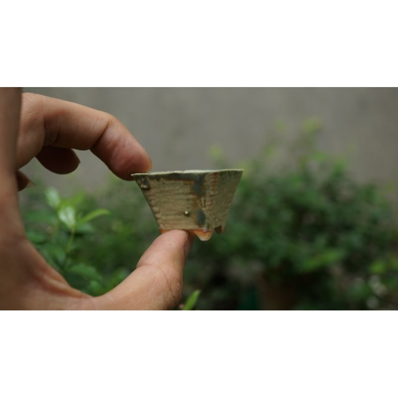Chậu nhật sale