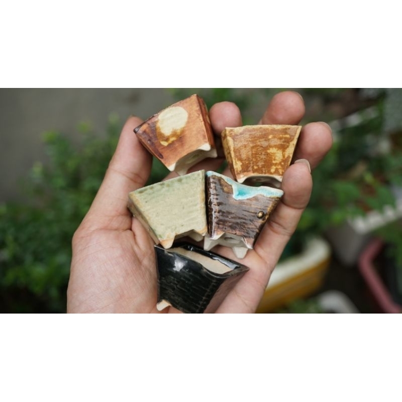 Chậu nhật sale