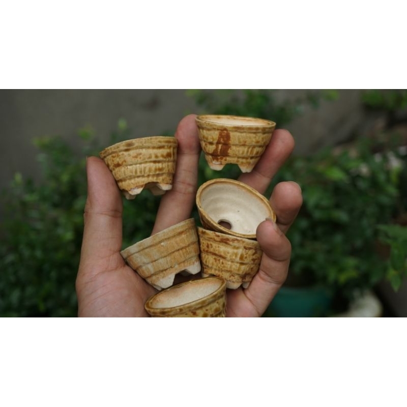 Chậu nhật sale