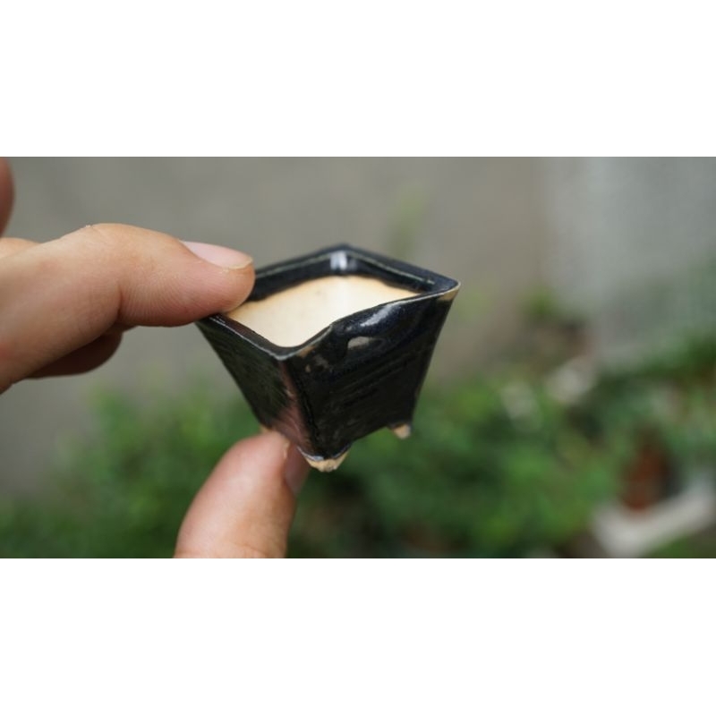 Chậu nhật sale