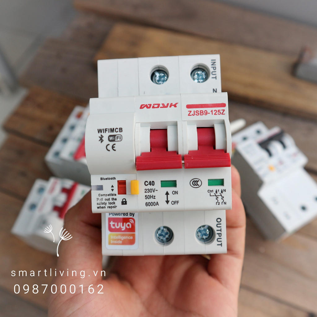 Aptomat CB thông minh Wifi Tuya 2P