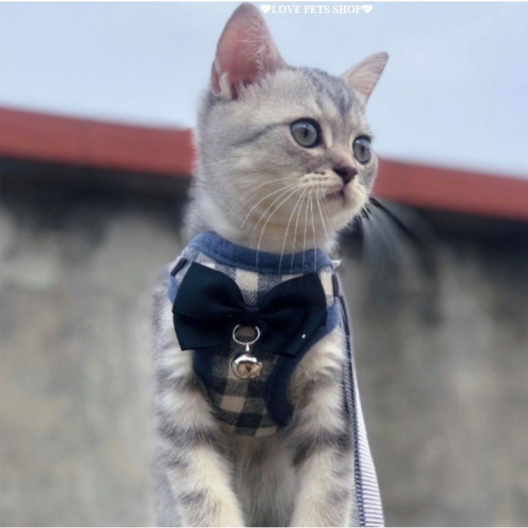 Bộ dây dắt cho Chó Mèo kèm yếm sọc caro dễ thương - Love Pets Shop